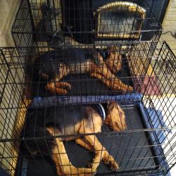 The Boys relaxing